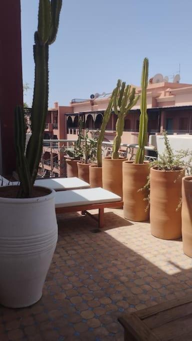 Rooftop Avec Terrasse Centre Gueliz Appartement Marrakesh