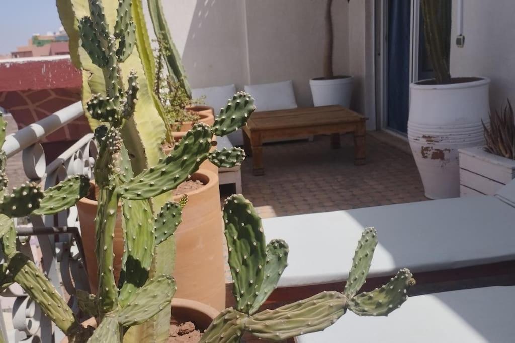 Rooftop Avec Terrasse Centre Gueliz شقة *
